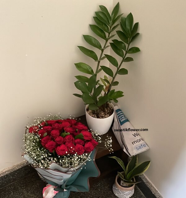 Red Roses Bunch With Zamia & Sneak Indoor Plants