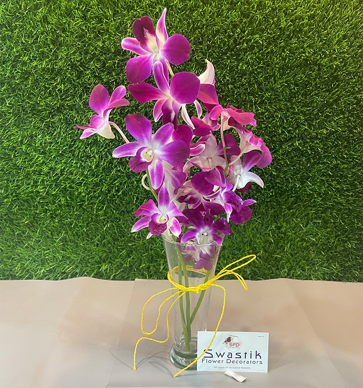 Purple Orchids in Glass Vase