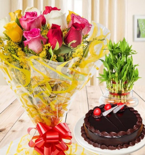 Mix Roses with 3 Layer Lucky Bamboo Plant & Half KG Truffle